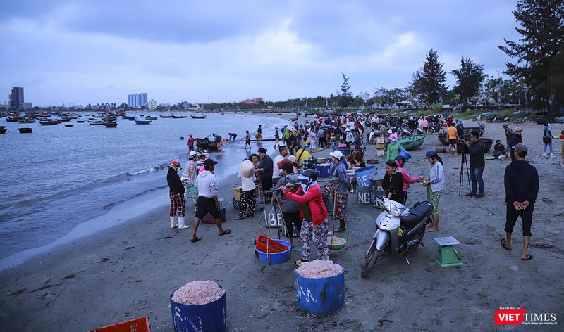 Từ tờ mờ sáng, bãi biển làng chài Mân Thái (quận Sơn Trà, Đà Nẵng) đã nhộn nhịp, đông đúc