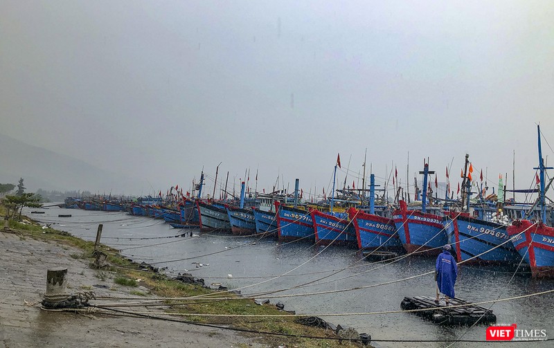 Tàu thuyên được neo đậu cẩn thận