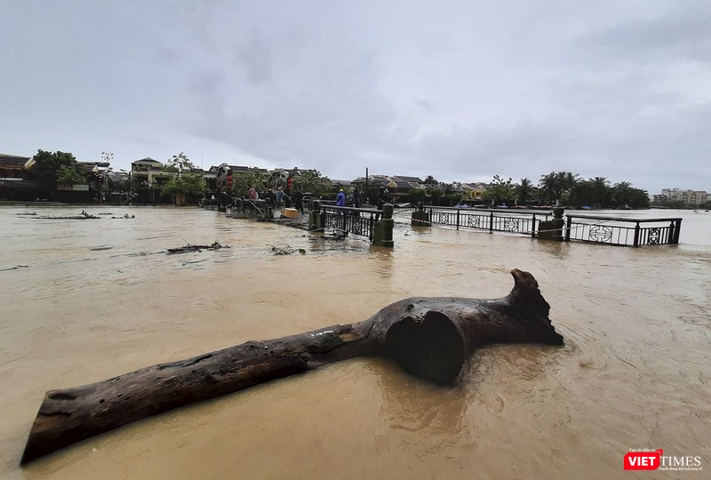 Một khúc gỗ lớn trôi chắn tại cầu An Hội