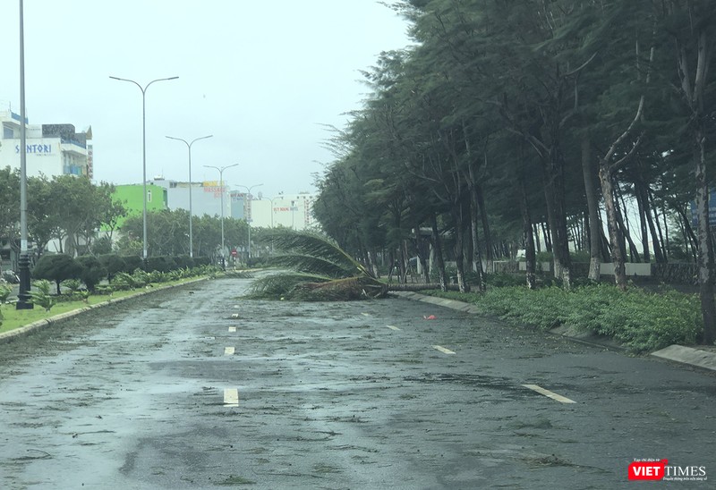 Cây xanh gãy đổ trên đường Nguyễn Tất Thành