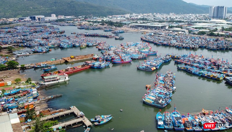 Một góc âu thuyền Thọ Quang - TP Đà Nẵng, một điểm nóng môi trường của địa phương
