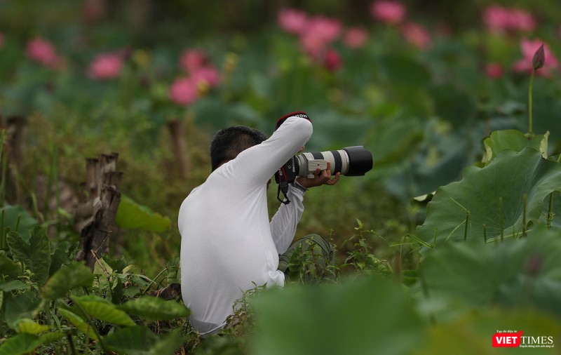Mê hoặc giới nhiếp ảnh