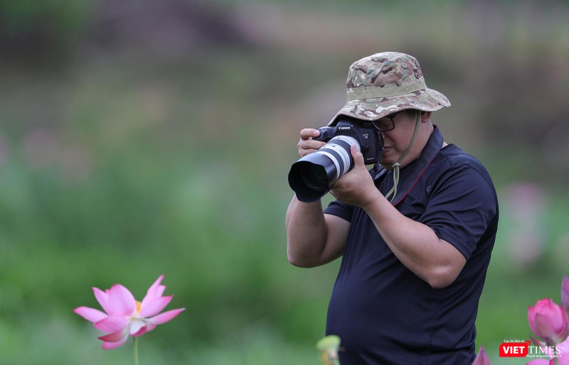 Vẻ đẹp của hoa sen thu hút rất đông giới mê ảnh