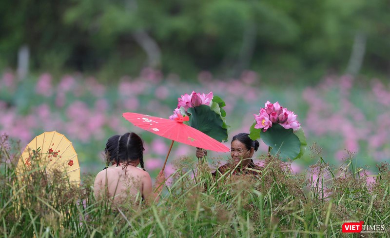 Du khách đổ về cánh đống sen