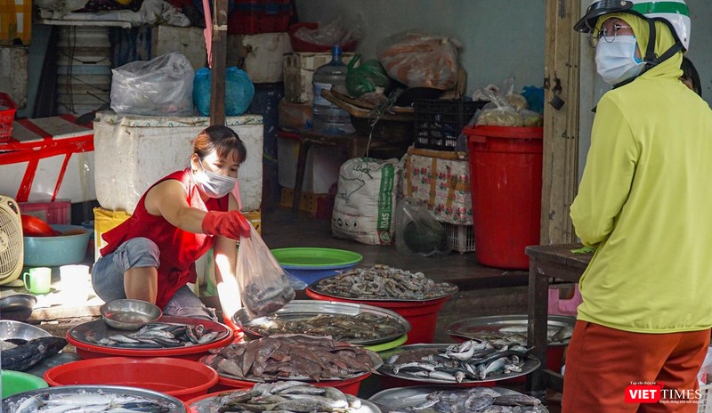 Hàng cá rất nhiều chủng loại