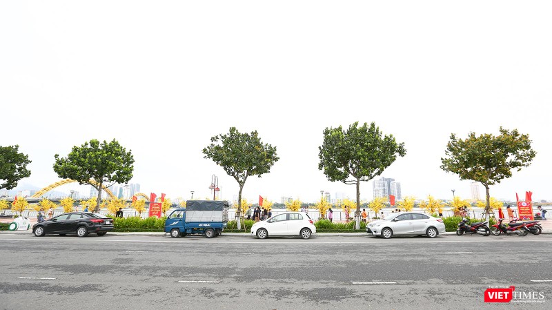 Một góc đường hoa xuân đoạn Bạch Đằng nối dài