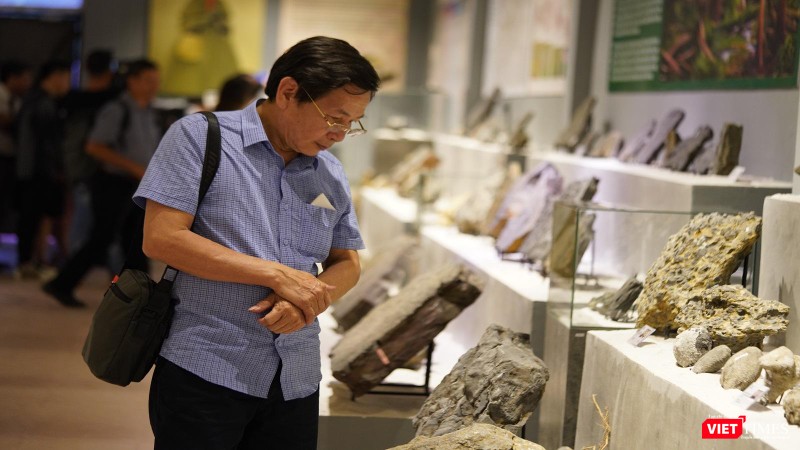 Trầm ngâm trước hoá thạch ngàn năm