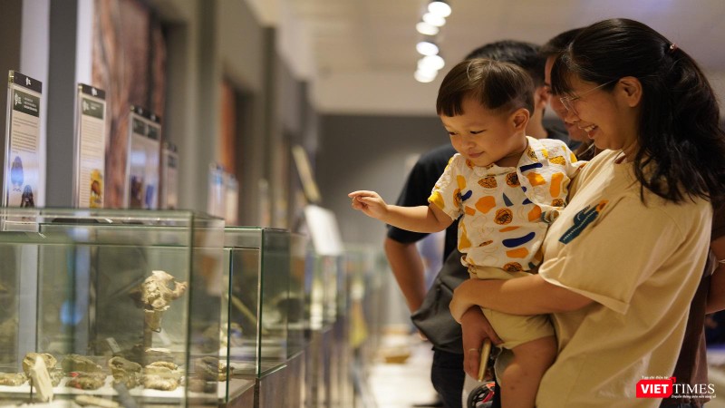 Niềm vui của bé được mẹ cho đi triển lãm