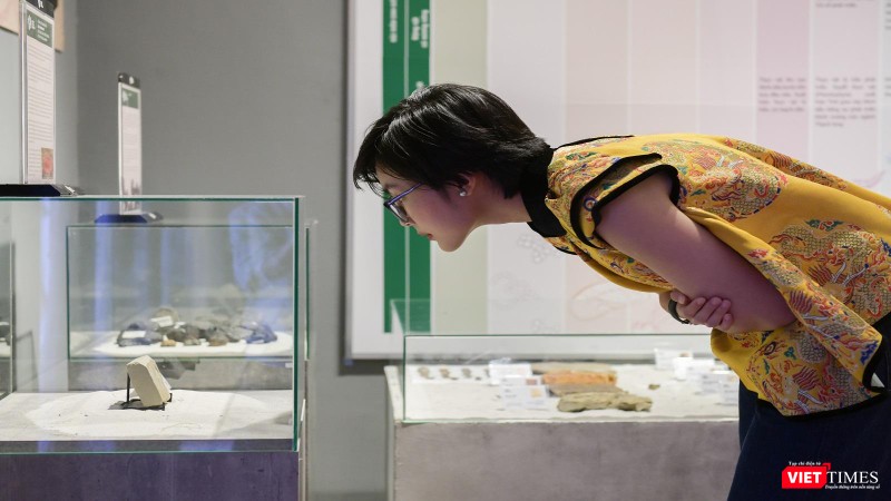 Có những hoá thạch lần đầu tiên công bố