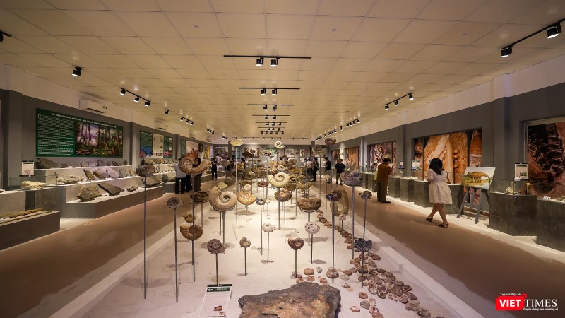 Một góc không gian triển lãm