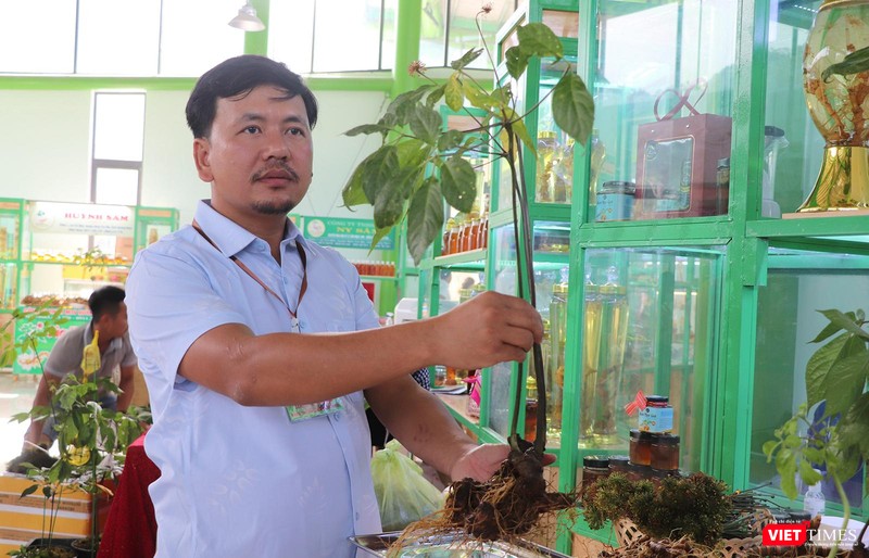 vt_le hoi sam ngoc linh 9.jpg