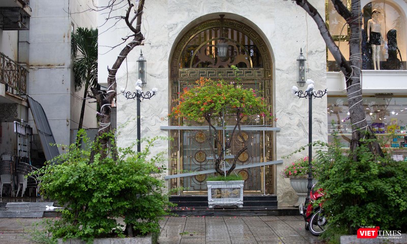 Dùng cả chậu cây cảnh để chằng chống cửa