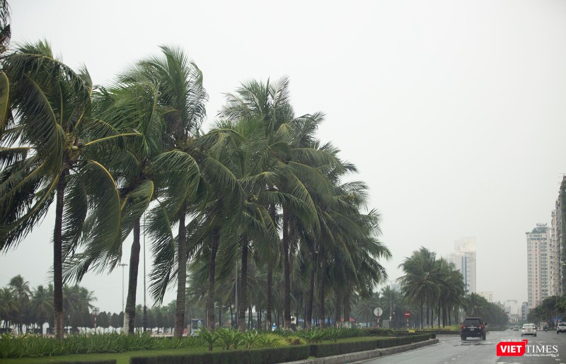 Gió bắt đầu lớn dần