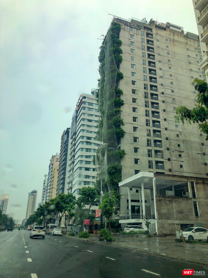 Cây xanh cũng được bọc lưới để chống gió bão