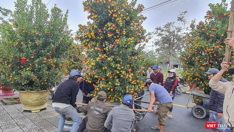 Ngày hội sẽ kéo dài đến hết ngày 4/1/2023