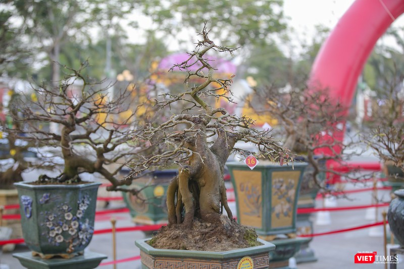 Các tác phẩm đến từ nhiều tỉnh thành miền Trung