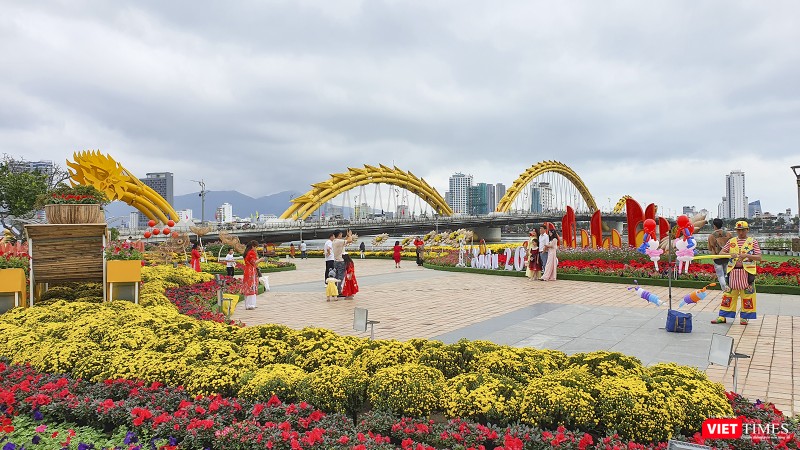 Một góc đường hoa xuân Bạch Đằng