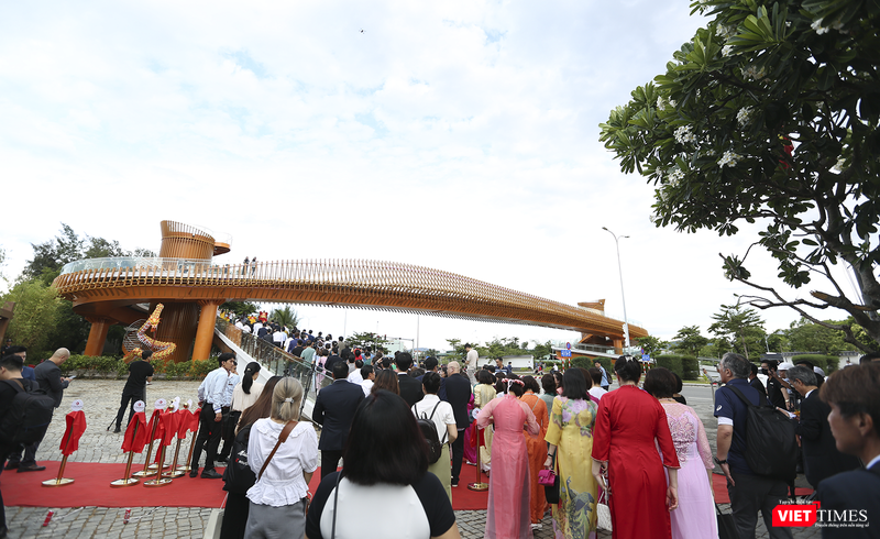 vt_cau viet nhat 2.png