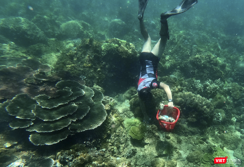 vt_aquaman da thanh 25.png