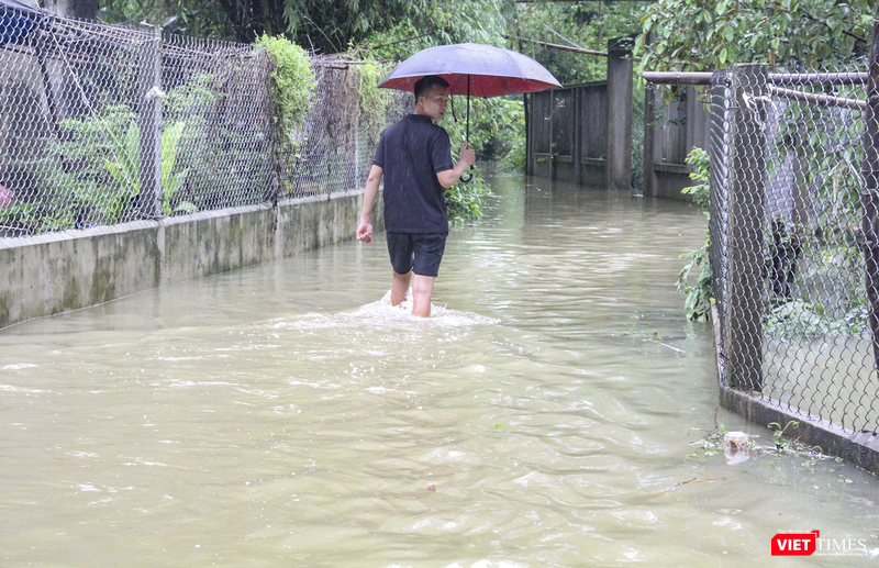 vt_qung nam ngap 1.png