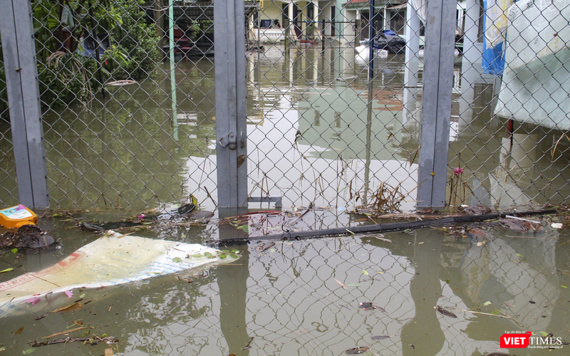 vt_qung nam ngap 10.png