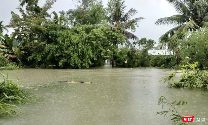 vt_qung nam ngap 16.png