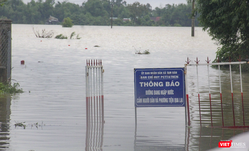 vt_qung nam ngap 2.png