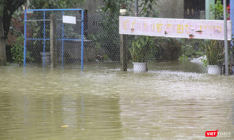 vt_qung nam ngap 3.png