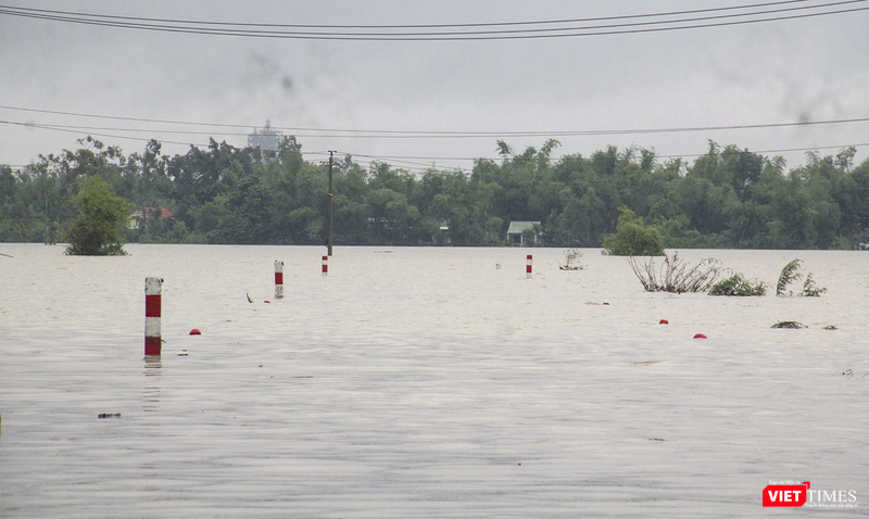 vt_qung nam ngap 5.png