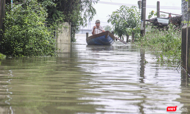 vt_qung nam ngap 6.png