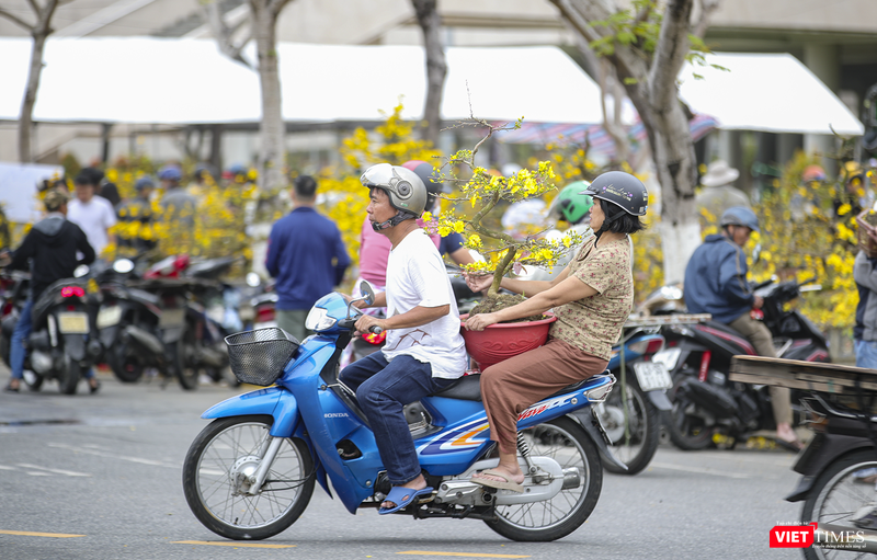 Chở Xuân về nhà