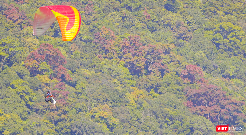 vt_dinh ban co 0.png