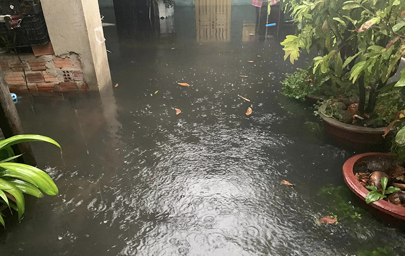 da nang ngap 18 9 5.png