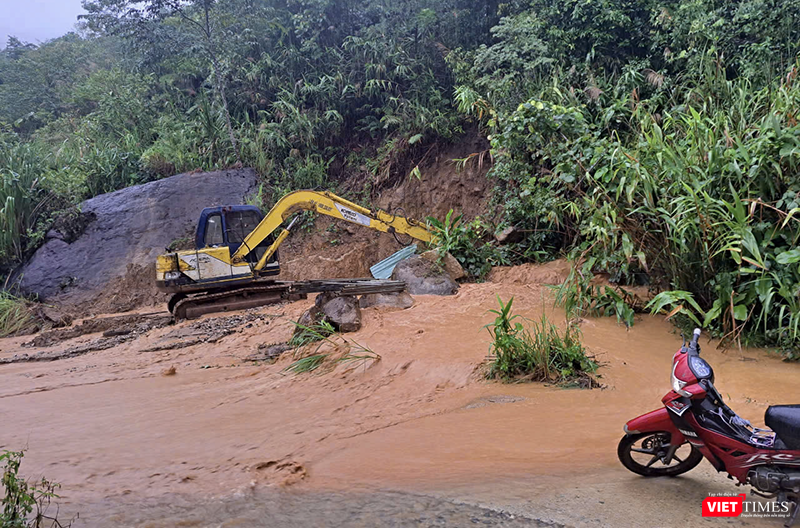 vt_quang nam so tan dan 3.png