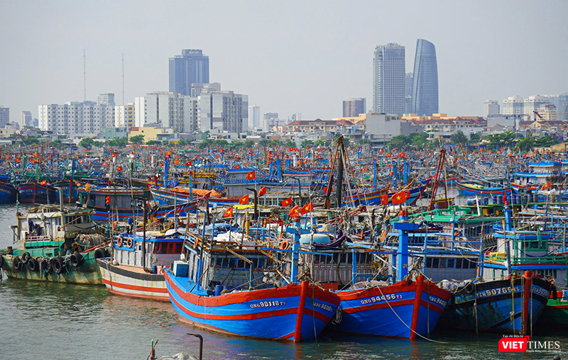Tàu thuyền của ngư dân vào neo đậu tại âu thuyền Thọ Quang, thành phố Đà Nẵng để tránh bão.