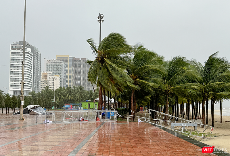 vt_bao tra mi da nang 1.png