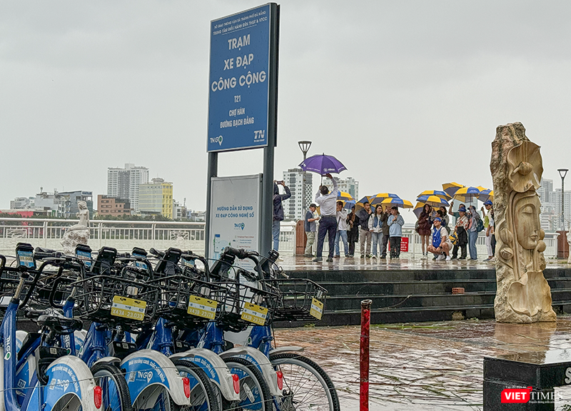 vt_bao tra mi da nang 21.png