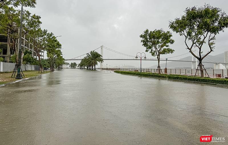 vt_bao tra mi da nang 22.png