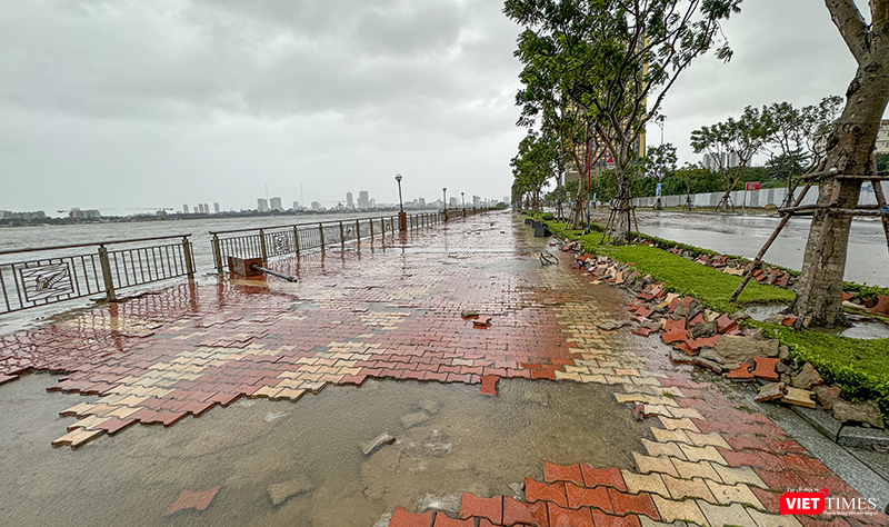 vt_bao tra mi da nang 23.png