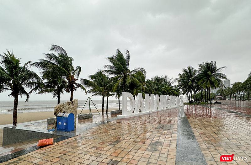 vt_bao tra mi da nang 4.png