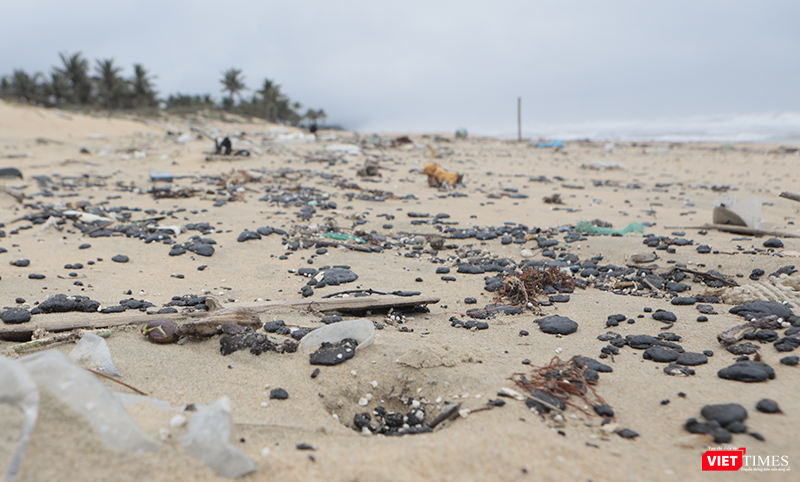 Dầu vón cục tấn công bờ biển vịnh Lăng Cô (Huế). Ảnh: Nguyễn Lê