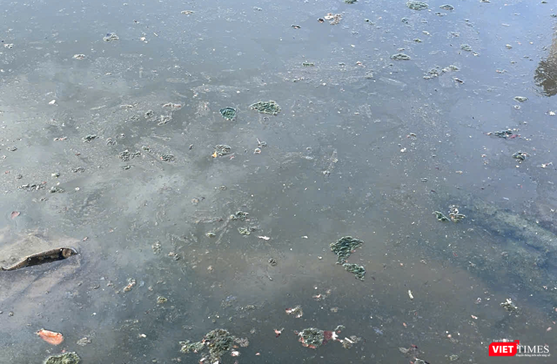 vt_bien du lich 4.png