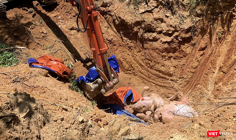 vt_ta lon chau phi 1.png