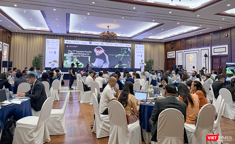 vt_da dang sinh hoc.png