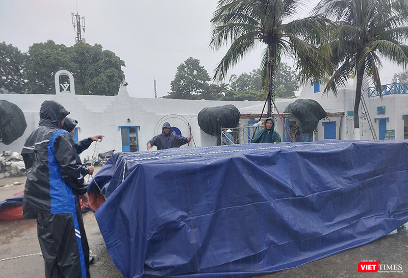 vt_ung pho bao 11.png