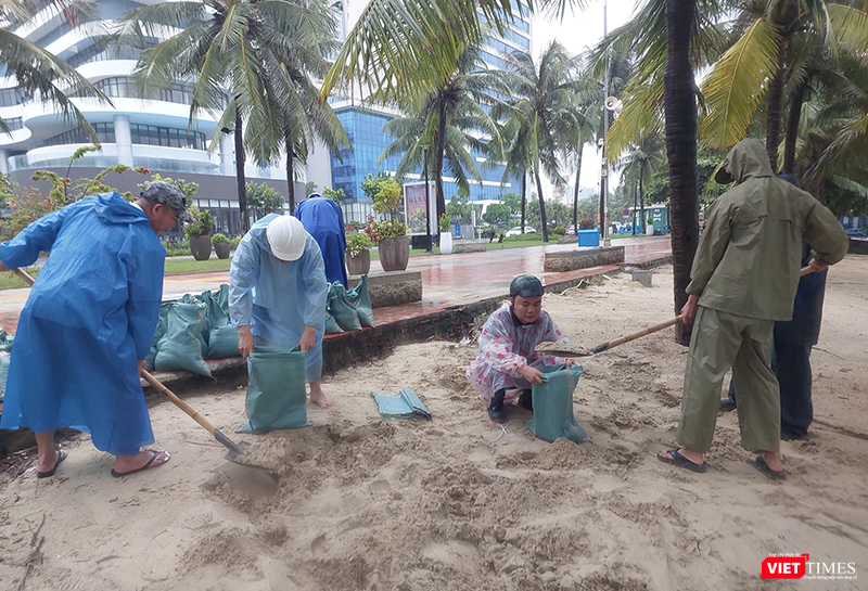 vt_ung pho bao 16.png