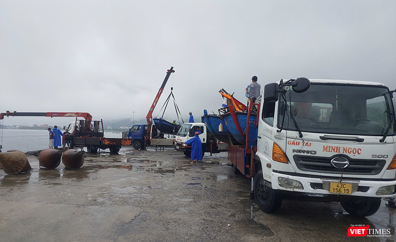 vt_ung pho bao 5.png