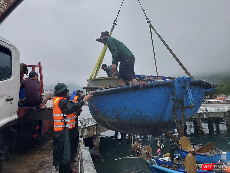 vt_ung pho bao 6.png