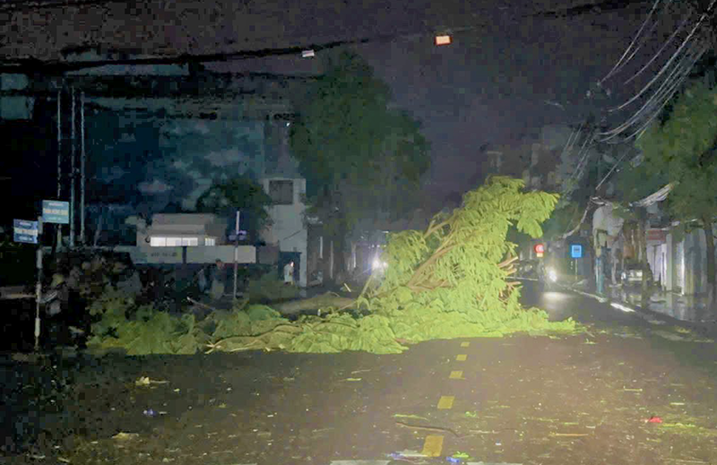 bao 13 gia lai 7.png