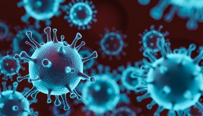 Virus Covid-19, nguồn cơn của cuộc khủng hoảng y tế chưa từng có trong lịch sử thế giới hiện đại.